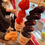 왕가탕후루 - 부천 탕후루 맛집 | 다이닝코드, 빅데이터 맛집검색