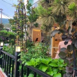 아띠랑스 - 수유 카페, 소금빵 맛집 - 다이닝코드