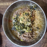 봉평메밀막국수 - 과천 막국수, 메밀막국수 맛집 | 다이닝코드, 빅데이터 맛집검색