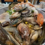제주연동 조개 맛집 Top14 - 다이닝코드