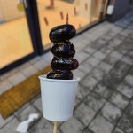 판다탕후루 김포풍무점 - 김포 탕후루, 아이스크림 맛집 | 다이닝코드, 빅데이터 맛집검색