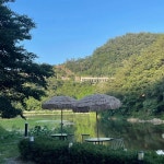 오월에카페 - 춘천 카페, 산천어 맛집 | 다이닝코드, 빅데이터 맛집검색