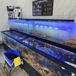 대게바라 단구점 - 원주 대게, 랍스타 맛집 - 다이닝코드