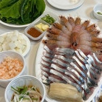 형제낙지 - 한림 낙지볶음, 낙지탕탕이 맛집 | 다이닝코드, 빅데이터 맛집검색