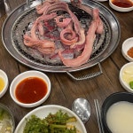 여빈의삿뽀로돈까스 - 대전 돈까스, 치즈오븐스파게티 맛집 | 다이닝코드, 빅데이터 맛집검색