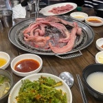 여빈의삿뽀로돈까스 - 대전 돈까스, 치즈오븐스파게티 맛집 | 다이닝코드, 빅데이터 맛집검색