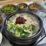 백암순대촌금왕점 백암순대촌금왕점 - 금왕 순대국, 순대 맛집 | 다이닝코드, 빅데이터 맛집검색