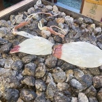 예산 먹태 맛집 Top17 - 다이닝코드