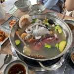 수시호 - 동막해수욕장 횟집, 해산물 맛집 | 다이닝코드, 빅데이터 맛집검색