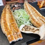 장어궁 - 논산 장어, 산장어구이 맛집 | 다이닝코드, 빅데이터 맛집검색
