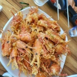비치온회센터 - 울릉도 독도새우, 회센터 맛집 - 다이닝코드