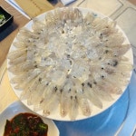물반고기반꼼장어 - 창원중앙동 횟집, 산꼼장어 맛집 - 다이닝코드