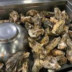 경기도 용인시 기흥구 구성로 81 주소 검색 결과 1곳 - 다이닝코드