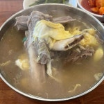 고집센그집갈비탕 대구화원점 - 대구화원 갈비탕, 갈비찜 맛집 | 다이닝코드, 빅데이터 맛집검색
