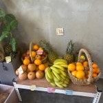 쥬씨 - 진주 과일주스, 생과일쥬스 맛집 | 다이닝코드, 빅데이터 맛집검색