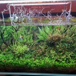 쿠카쿠커피 중원구청점 - 성남 카페, 코코넛커피 맛집 - 다이닝코드