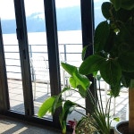 경기+파주시+법원읍+삼방리 음식 랭킹 - 다이닝코드