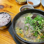제주시 테마별 맛집 추천 - 다이닝코드, 빅데이터 맛집검색