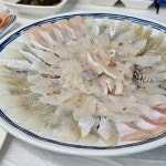 포항여객선터미널 음식 랭킹 - 다이닝코드