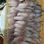 모슬포해안도로식당 - 제주 고등어회, 고등어 맛집 | 다이닝코드, 빅데이터 맛집검색