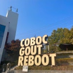 통큰 아귀찜/매콤무뼈닭발 - 화순 한식 맛집 | 다이닝코드, 빅데이터 맛집검색