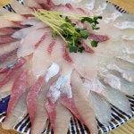 영도횟집 - 영도 횟집, 물회 맛집 - 다이닝코드