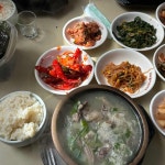 뽕잎해물칼국수 - 가평군 칼국수, 조개 맛집 | 다이닝코드, 빅데이터 맛집검색