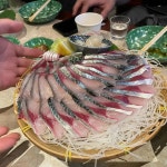 신선한형제들 - 강남역 횟집, 대방어 맛집 | 다이닝코드, 빅데이터 맛집검색