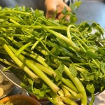 소문난삼계탕 - 성남 백숙, 삼계탕 맛집 | 다이닝코드, 빅데이터 맛집검색