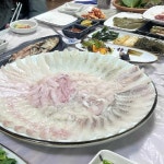 지혜횟집 - 포항 자연산회, 횟집 맛집 - 다이닝코드