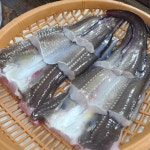 통영장어무한리필 다대점 - 다대포 장어, 장어무한리필 맛집 | 다이닝코드, 빅데이터 맛집검색