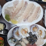 탐나종합어시장 신금호역점 - 신금호역 횟집, 방어 맛집 | 다이닝코드, 빅데이터 맛집검색