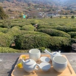 경상남도 하동군 악양면 정서리 음식 랭킹 - 다이닝코드, 빅데이터 맛집검색