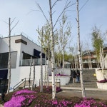 충청남도 천안시 서북구 부대동 맛집 Top30 - 다이닝코드