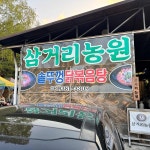 복돼지숯불갈비 - 담양 돼지갈비, 갈비 맛집 | 다이닝코드, 빅데이터 맛집검색