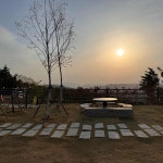 경북 경주시 암곡동 테마별 맛집 추천 - 다이닝코드, 빅데이터 맛집검색