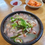 강원 춘천시 신북읍 율문리 테마별 맛집 추천 - 다이닝코드, 빅데이터 맛집검색