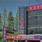 영광횟집 - 대명항 횟집 맛집 - 다이닝코드