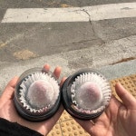 멜로우스윗 - 강릉 카페, 과일모찌 맛집 | 다이닝코드, 빅데이터 맛집검색