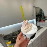 스쿱스젤라또 대전중구점 - 대전중구 카페, 젤라또 맛집 | 다이닝코드, 빅데이터 맛집검색
