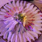 미도상회 - 삼산 횟집, 대방어 맛집 | 다이닝코드, 빅데이터 맛집검색