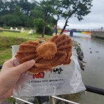 울진대게빵 - 강원도 대게, 대게빵 맛집 | 다이닝코드, 빅데이터 맛집검색