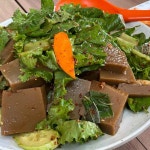 구즉묵집 - 대전유성구 묵밥, 보리밥 맛집 - 다이닝코드