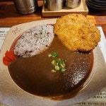 고씨네 숙명여대점 - 숙명여대 카레, 일본카레 맛집 | 다이닝코드, 빅데이터 맛집검색