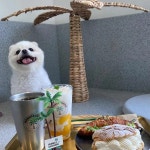 정그리다 - 용인 카페, 베이커리카페 맛집 | 다이닝코드, 빅데이터 맛집검색