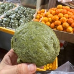 모슬포에서 - 제주 김밥, 성게김밥 맛집 | 다이닝코드, 빅데이터 맛집검색