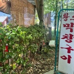 황소막창구이 - 청계천 막창, 소막창 맛집 | 다이닝코드, 빅데이터 맛집검색
