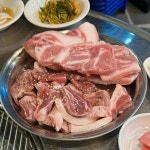 덕포꼬리집 괴정점 - 괴정 특수부위, 돼지특수부위 맛집 | 다이닝코드, 빅데이터 맛집검색