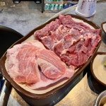 써브웨이 부산시청점 - 부산시청 샌드위치, 에그마요 맛집 | 다이닝코드, 빅데이터 맛집검색