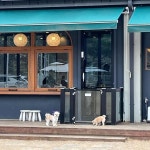 댕그라미 - 남양주 애견카페, 까페 맛집 | 다이닝코드, 빅데이터 맛집검색